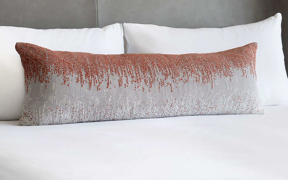 http://www.shoparia.com/images/products/lrg/aria-sky-suites-accent-pillow-ARIA-108-09-13-10-62-28_lrg.jpg